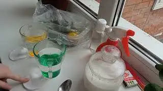 •\🍃Как обустроить терариум🎍\•🐞Как ухаживать за божьей коровкой🐞И многое другое✨