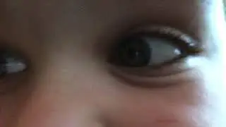 Papa studios teaser