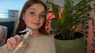 ASMR Close Up Whisper | Over Explaining Objects 🪴