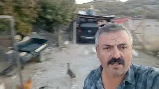 horozları tanıyalım