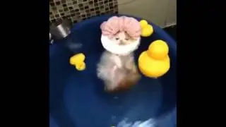 Когда лежишь в ванной))