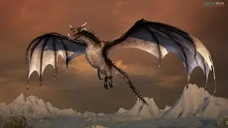 Sophoria Academy - My Online Animation School