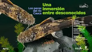 Los peces del río Cauca | Ciencia en bicicleta | Parque Explora