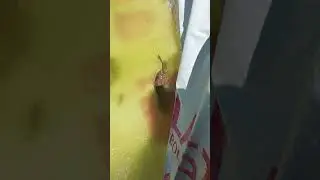 рыба в басейне🤘