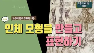 [초등 과학 6-2] 4. 우리 몸의 구조와 기능 - 1차시 인체 모형을 만들고 몸으로 표현하기