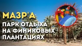 Место отдыха в Медине для семьи и детей