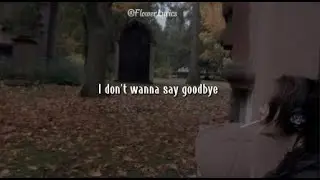 In the stars -  Benson Boone || I don't wanna say goodbye, 'cause this one means forever ..(lyrics)