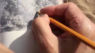 42  КУСТ НА БЕРЕГУ  2 часть