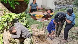 Khai visited Dinh and was attacked by a giant swarm of bees, almost losing his life.