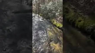 THREE FORKS - Appalachian Trail Best Places To Hike In North Georgia 