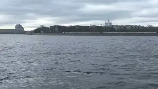 Петербург, Нева