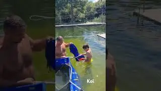 koi