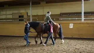Животных дел мастер: Анималотерапия