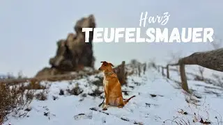 Wanderung Teufelsmauer | Höhlenwohnungen Harz | Wandern mit Hund