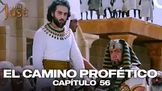 El Fin De Amón | El Camino Profético