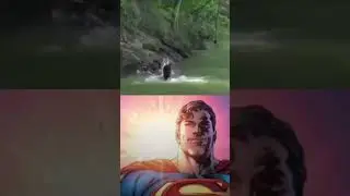 this guy is a hero wow! he jumped on a crocodile for his friend! #funny #memes #heroic #hero