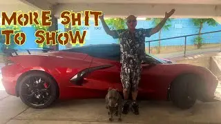 More shit to show