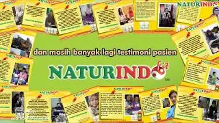 NATURINDO - Profil Perusahaan