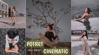 Rumus lightroom | preset potret cinematic | edit foto lightroom android