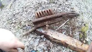 Продолжаем! Лесная дорога