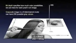 Bit Depth in Depth: All you never wanted to know about bit depth. 