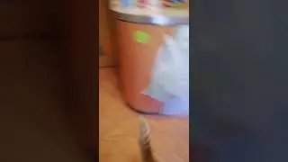 Слайм бокс от мисс Маша