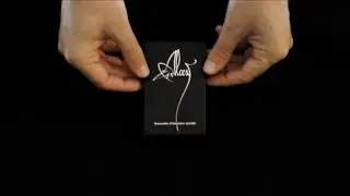 Alcest- Souvenirs D'un Autre Monde - music cassette edition [product presentation]