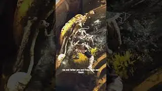 Kratos praising Atreus for being wise 