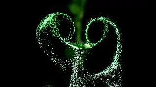 Sunghwan Jung: Mechanics in spore dispersal