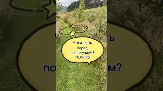 🌕 Полнолуние — не для суеты. А для честности и чистоты. 10.07.2025