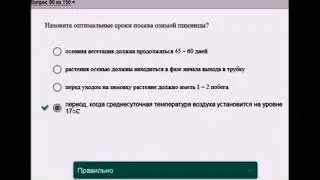 тестирование знаний  билеты ответы Русагро группа компаний