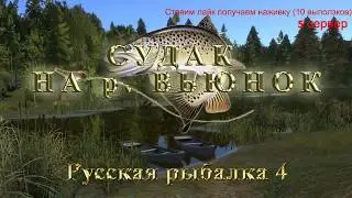 Русская рыбалка 4 Судак на р. Вьюнок