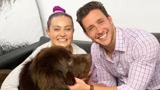 Asking Dr. Mike About My Gross/Embarrassing Medical Mystery (Watch til the end...)