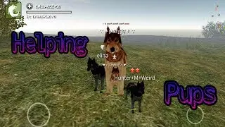 Wolf Online | Being Pos