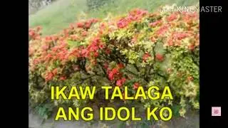 APRIL BOY REGINO | dj ng aking radyo