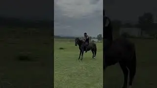 Вчера обучал Асвада 👌🔥