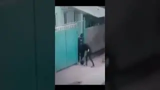 23 декабря 2021 г.