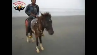 Cox's Bazar Labony point sea beach part 3