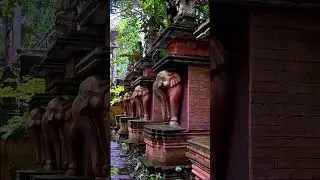Top 5 Photo Koh Samui Shooting Locations 🔥💪