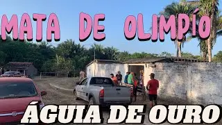 FESTEJO DE SANTA MARIA EM MAT DE OLIMPÍO - ÁGUIA DE OURO IRMANDADE