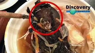 7 Dangerous Food People Actually Eat | 7 जानलेवा फूड जो लोग बड़े चाव से खाते है