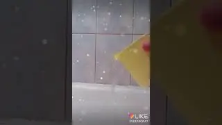 Залипуха