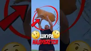 🐑 Зачем китайцы надувают овечьи шкуры?
