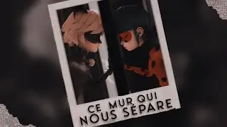 Ladynoir • Adrinette || Ce Mur Qui Nous Sépare (Türkçe Çeviri)