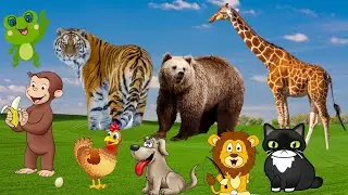 FARM ANIMALS - GIRAFFE, BEAR, TIGER, FROG, MONKEY, CHICKEN, DOG, ELEPHANT