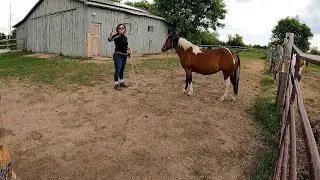 basic handling skills with Lilly