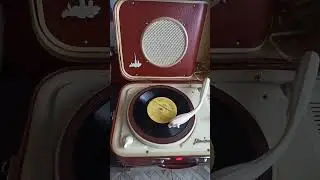 песняры