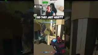 Coulda Shoulda Woulda