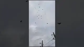 04.02.2024 г.