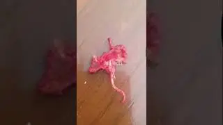 ВЫБРОСЬТЕ ЕДУ, ЕСЛИ УВИДИТЕ ЭТО